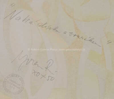  / Nahá dívka s vraníkem / Robert Jiran