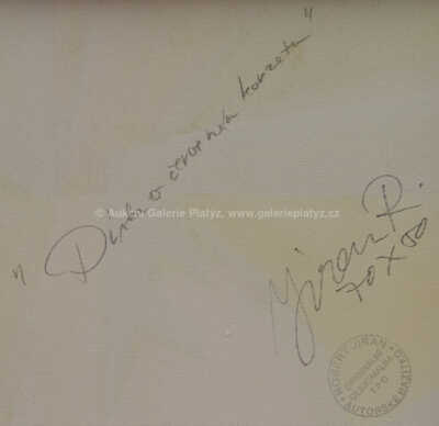  / Dívka v červeném korzetu / Robert Jiran