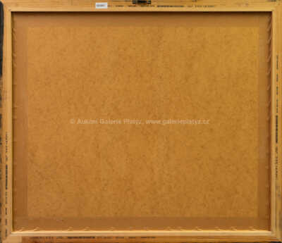  / Nekonečná záhada / Salvador Dalí