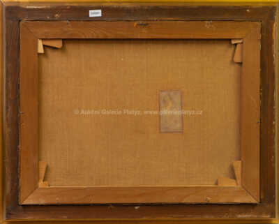  / Zima u potoka / Josef Procházka