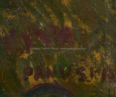  / Nad vsí / Jaroslav Panuška