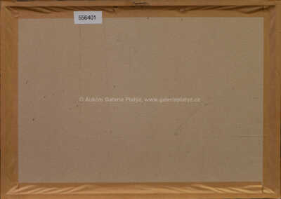  / Raidy L Donuts / Kája Saudek