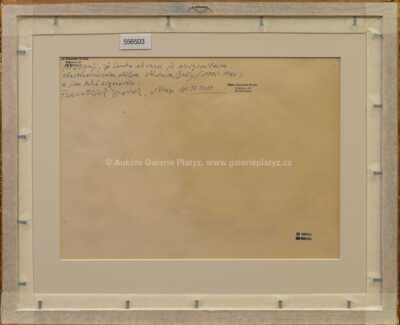  / Koupání / Václav Špála