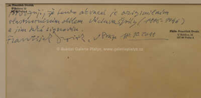  / Koupání / Václav Špála