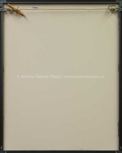  / Iluzionista / Adolf Born