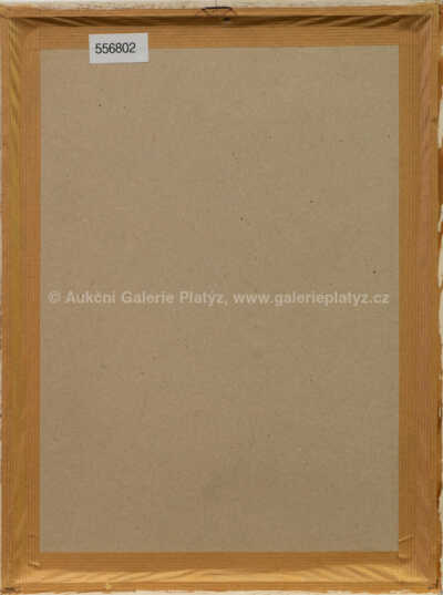  / Žena / Kája Saudek