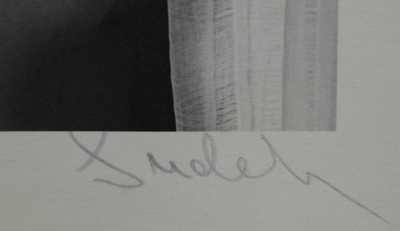  / Stojící ženský akt / Josef Sudek