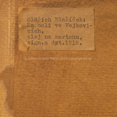  / Na poli ve Vojkovicích / Oldřich Blažíček