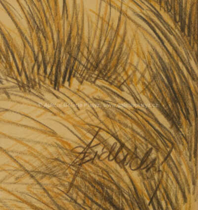  / Ve vysoké trávě / Jiří Židlický