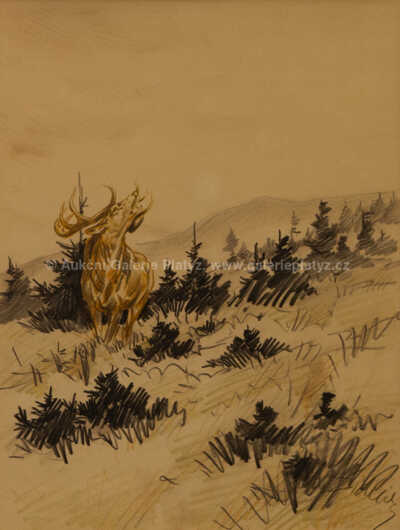  / Jelen v říji / Jiří Židlický