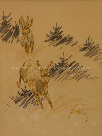  / V běhu / Jiří Židlický