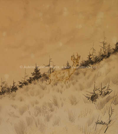  / Na kraji lesa / Jiří Židlický