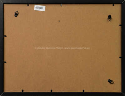  / Hodila flintu do žita / Jan Vyčítal