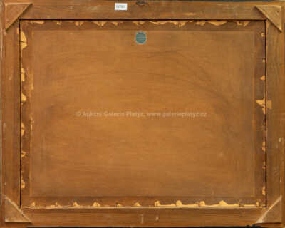  / V krajině / Josef Ullmann