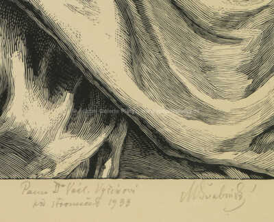  / Básník a múza / Max Švabinský