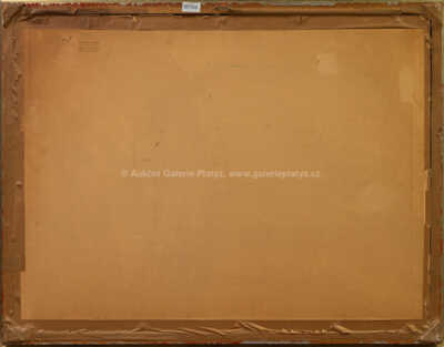  / Září u Javornice v Orlických horách / Vojtěch  Sedláček