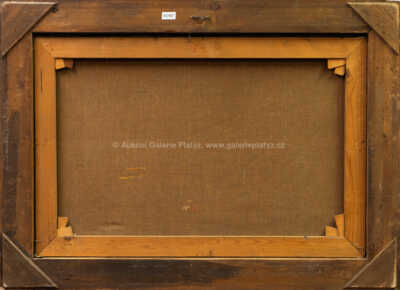  / V Podkrkonoší / Julie Mezerová-Winterová