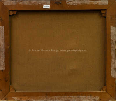  / Mistr Jan Hus / František Ženíšek