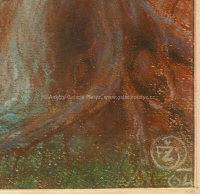  / Pohádka O dvanácti labutích / František Ženíšek jun.