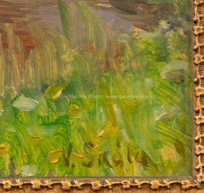  / Divoká Orlice / Vít Skála