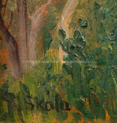  / Pohled na kostel sv. Mikuláše / Vít Skála