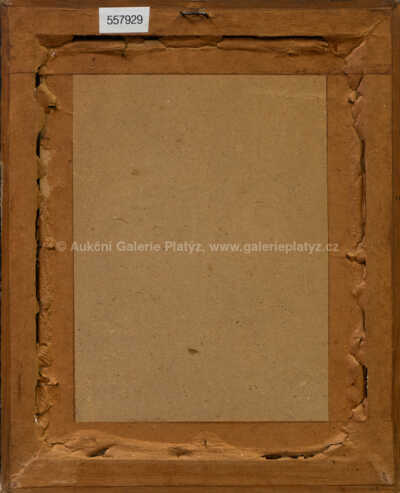  / Pohled na kostel sv. Mikuláše / Vít Skála