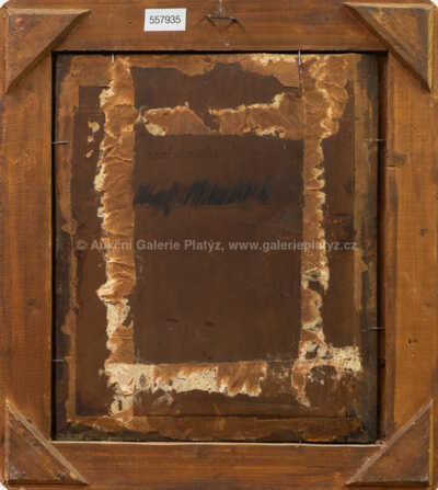  / Portrét muže / Quido Mánes