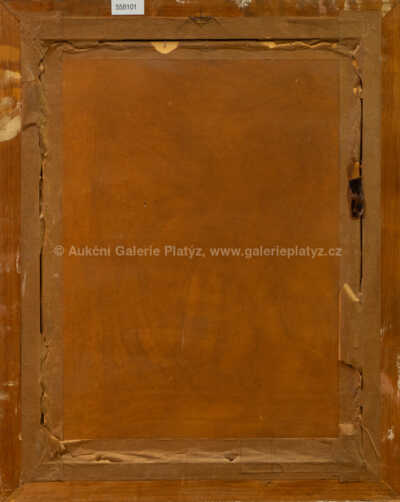  / Staroměstské nám. s Mariánským sloupem / Jan Šafařík