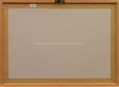  / Stále spolu / Roman Franta