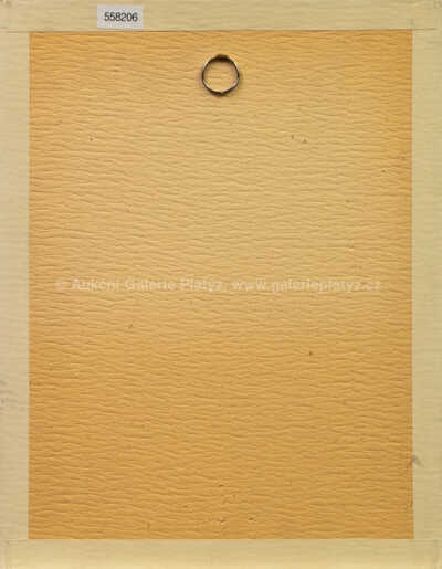  / Spící / Ota Janeček