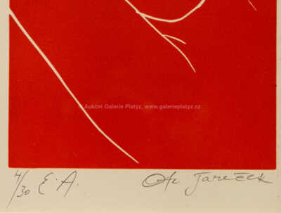  / Spící / Ota Janeček