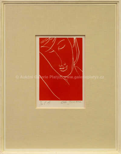 Ota Janeček - Spící