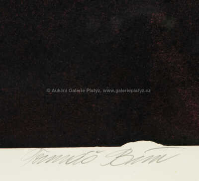  / Tenisák / Tomáš Bím