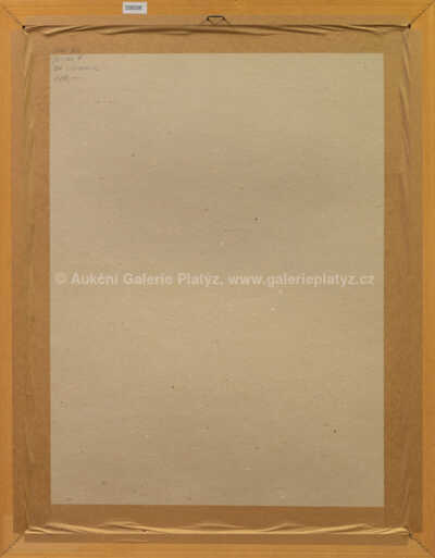  / Tenisák / Tomáš Bím