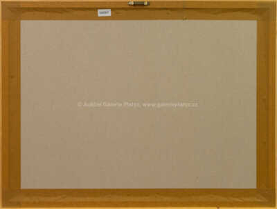  / Rychlé šípy na výpravě / Marko Čermák