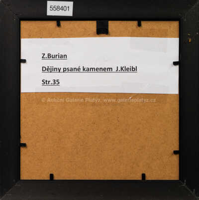  / Dějiny psané kamenem / Zdeněk Burian