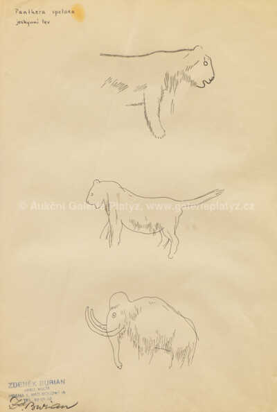  / Jeskynní lev a mamut / Zdeněk Burian