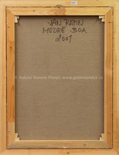  / Modré boa / Jan Rapin