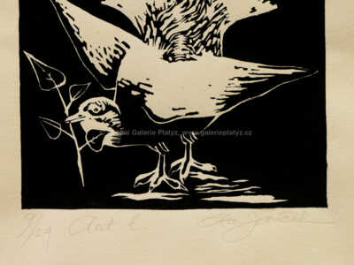  / Pták a Slunce / Ota Janeček