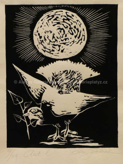  / Pták a Slunce / Ota Janeček