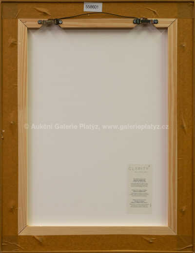  / Pták a Slunce / Ota Janeček