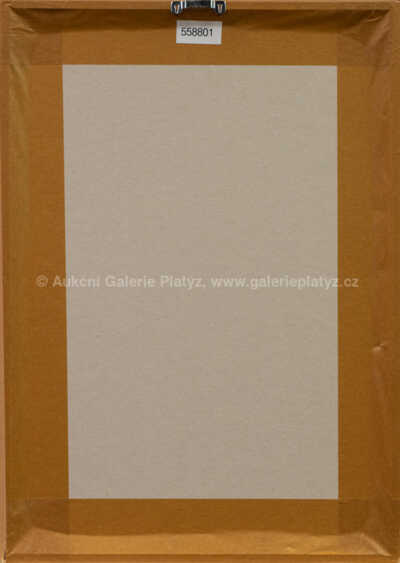  / Touha po řádu věcí / Jan Kanyza