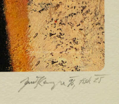  / Touha po řádu věcí / Jan Kanyza