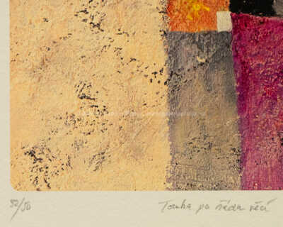  / Touha po řádu věcí / Jan Kanyza