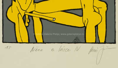  / Něco o lásce IV / Boris Jirků