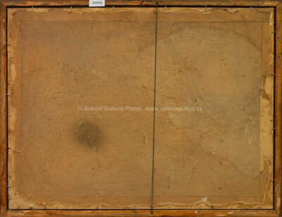  / Pohled do krajiny / Josef Písecký (Liška)