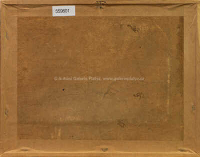  / Skalnatá krajina / František Drtikol