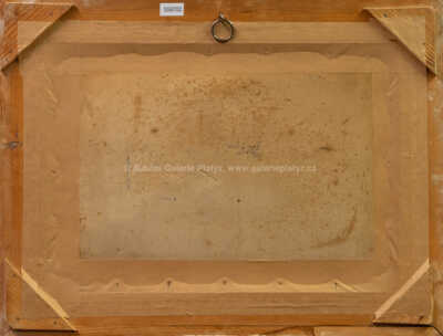  / Cestou mezi poli / Josef Jambor