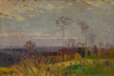  / Pohled do krajiny / Roman Havelka