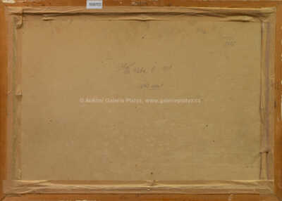  / Pohled do krajiny / Roman Havelka